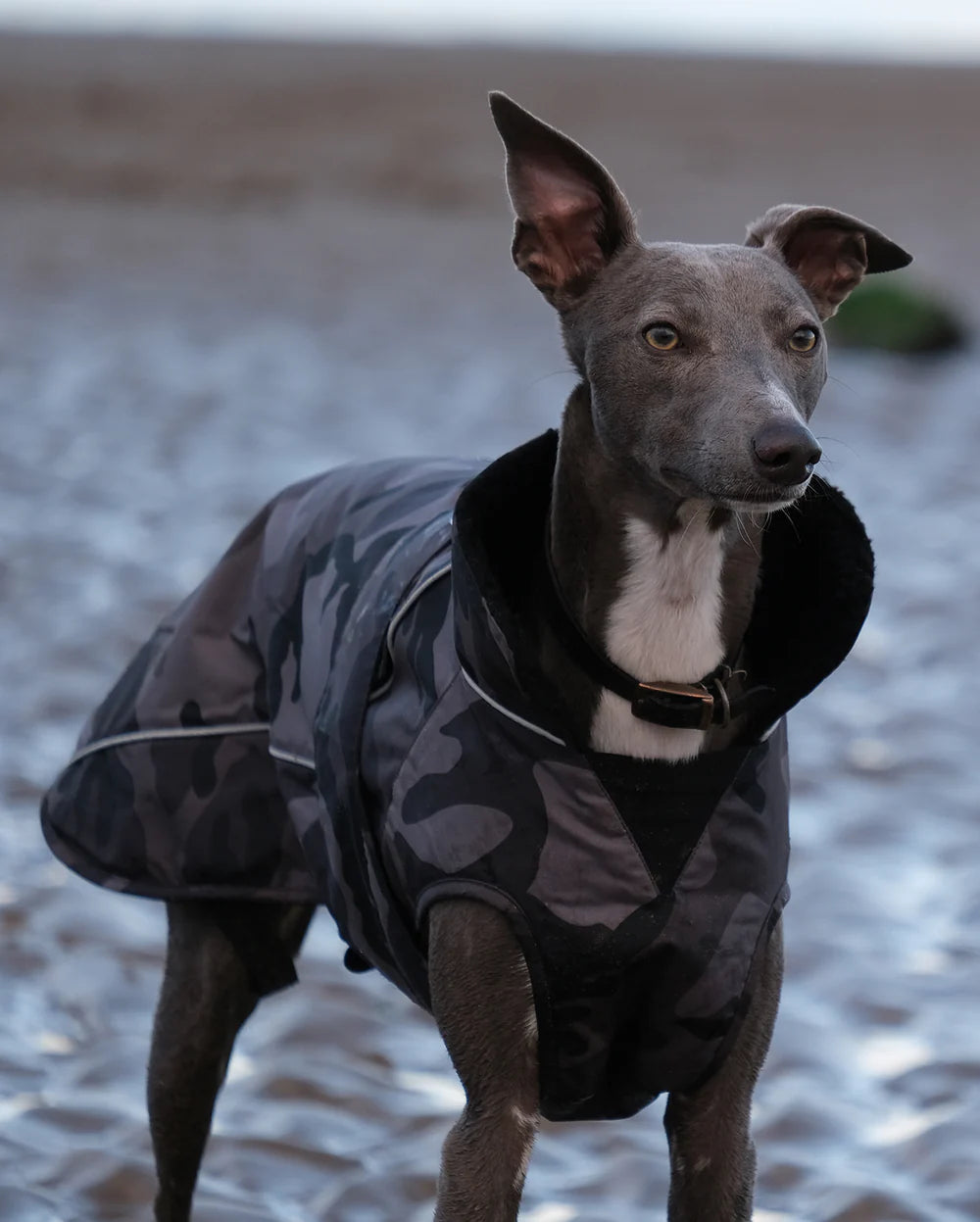 Dryrobe - Dog Dryrobe - Camo/ Black 