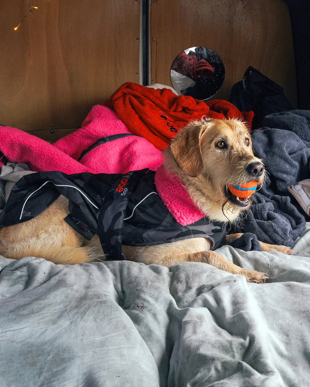 Dryrobe - Dog Dryrobe - Black camo/ Pink