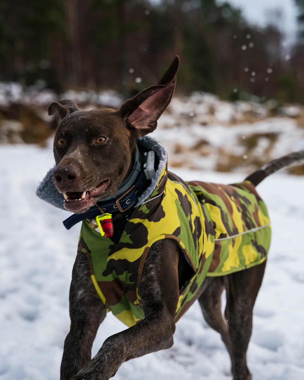 Dryrobe - Dog Dryrobe - Camo / Grey