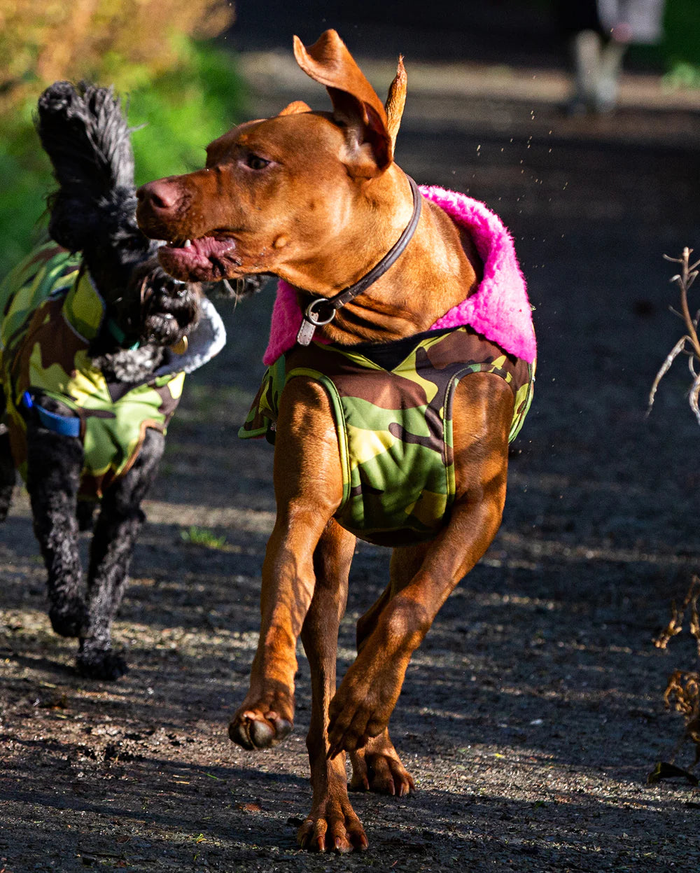 Dryrobe - Dog Dryrobe - Camo / Pink 