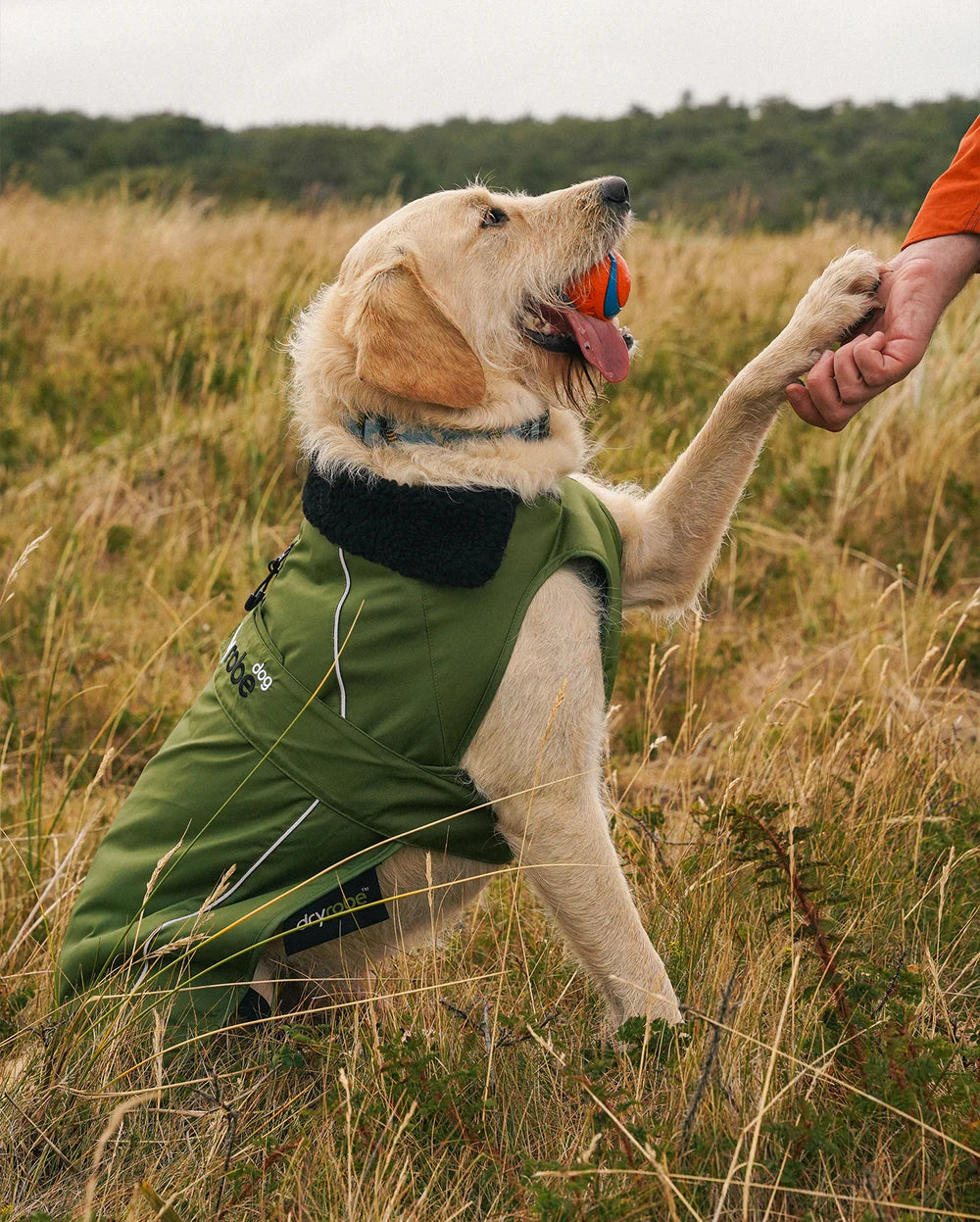 Dryrobe - Dog Dryrobe - Forest Green / Black 