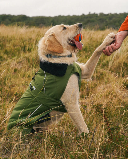 Dryrobe - Dog Dryrobe - Forest Green / Black 